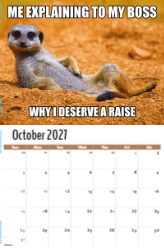 The Memeing of Life Theme Template