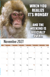 The Memeing of Life Theme Template