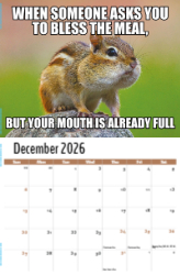 The Memeing of Life Theme Template