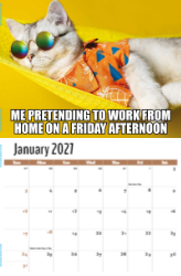 The Memeing of Life Theme Template