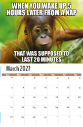 The Memeing of Life Theme Template