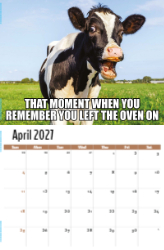 The Memeing of Life Theme Template