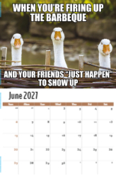 The Memeing of Life Theme Template
