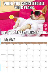 The Memeing of Life Theme Template