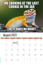 The Memeing of Life Theme Template