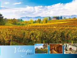 Vintages: Wine Tips Theme Template