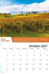 Vintages: Wine Tips Theme Template
