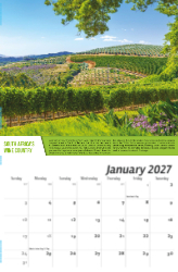 Vintages: Wine Tips Theme Template