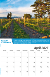 Vintages: Wine Tips Theme Template