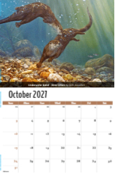 Wildlife Portraits Theme Template