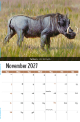Wildlife Portraits Theme Template
