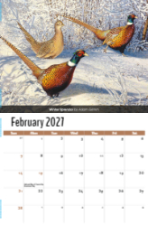 Wildlife Portraits Theme Template