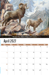 Wildlife Portraits Theme Template