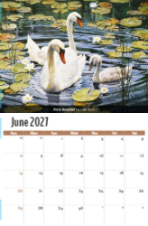 Wildlife Portraits Theme Template