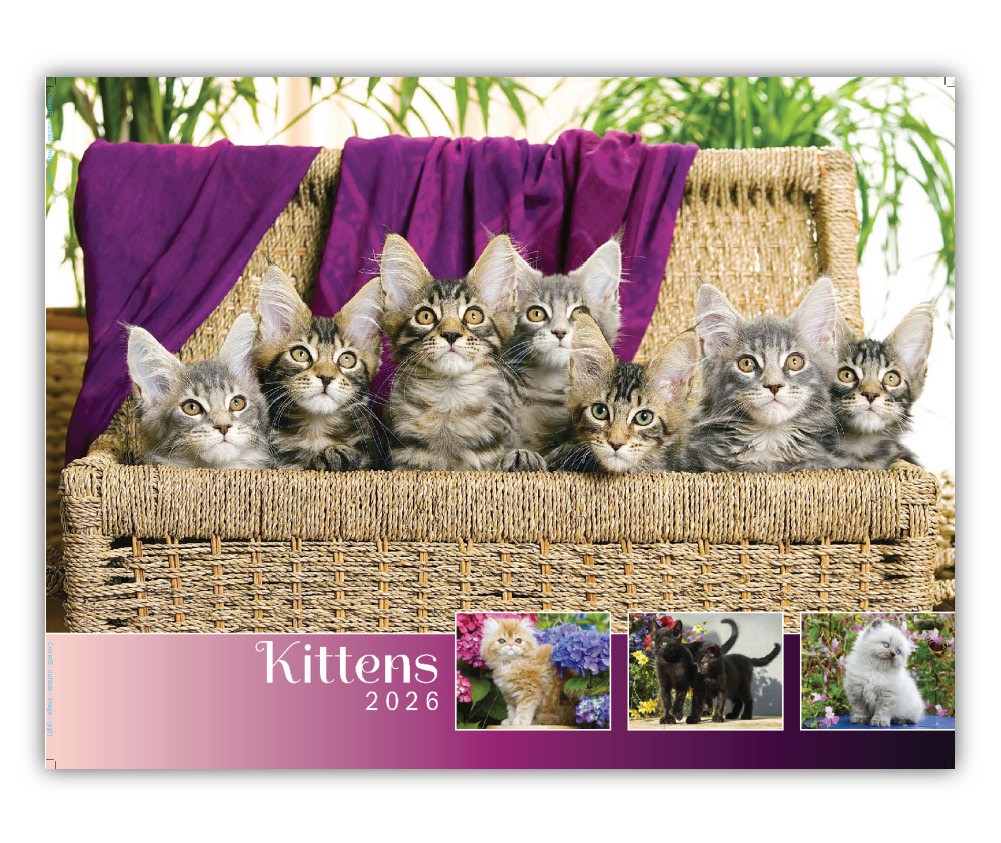 Quality Wall Calendar Gift - Kittens 2025 calendar