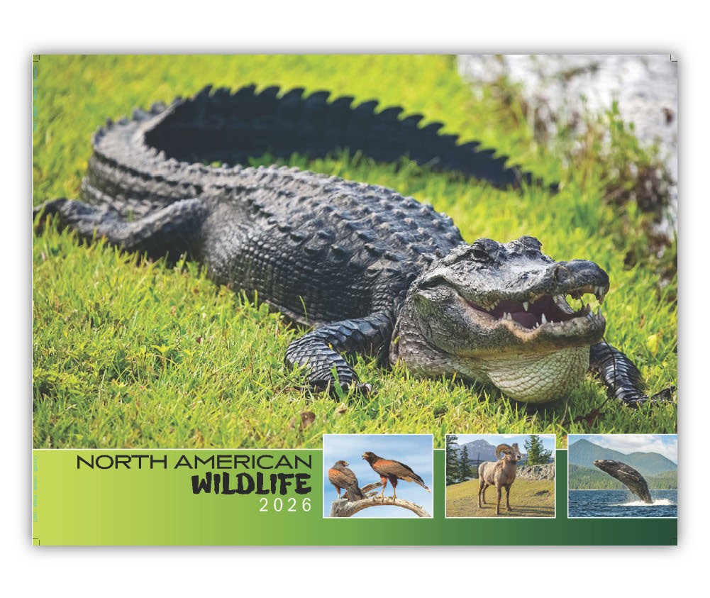 Quality Wall Calendar Gift - North American Wildlife 2025 calendar