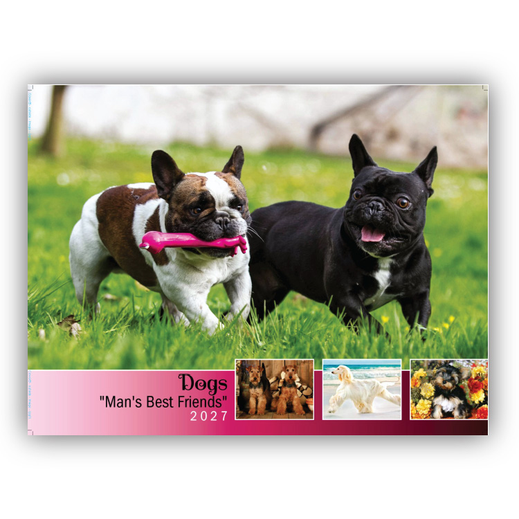 Quality Wall Calendar Gift - Dogs 2025 Calendar