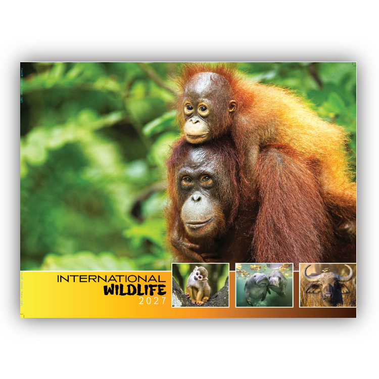 International Wildlife Wall Calendar