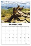 2026 Beauty of Latin America wall calendar