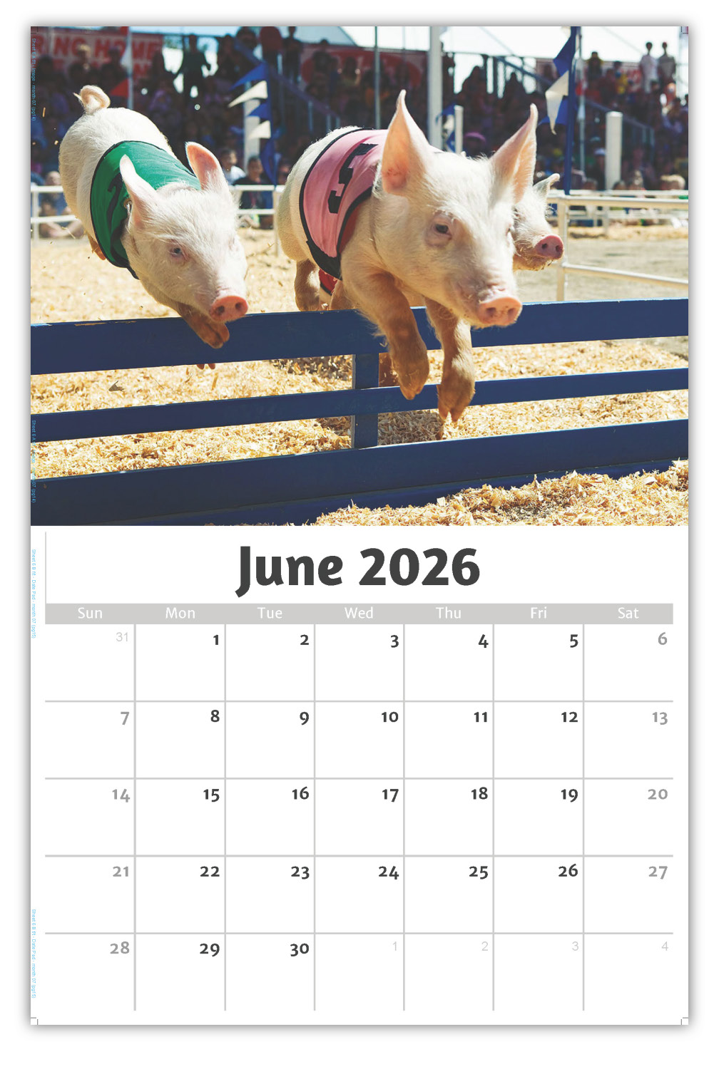 2026 Country Spirit wall Calendar