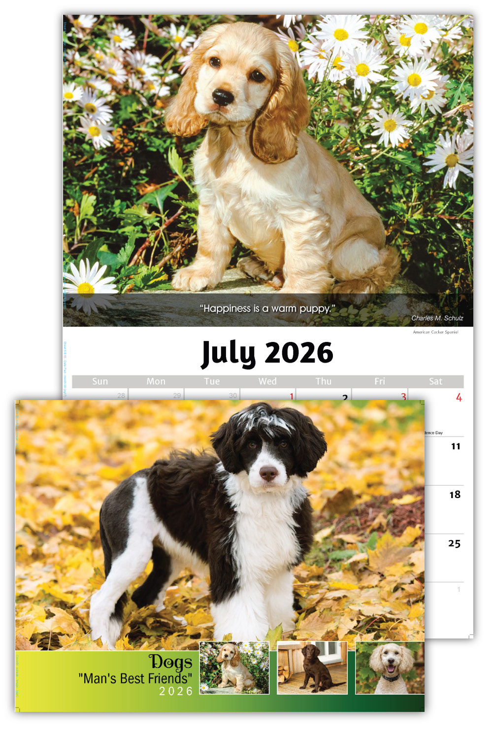2026 Dogs wall calendar