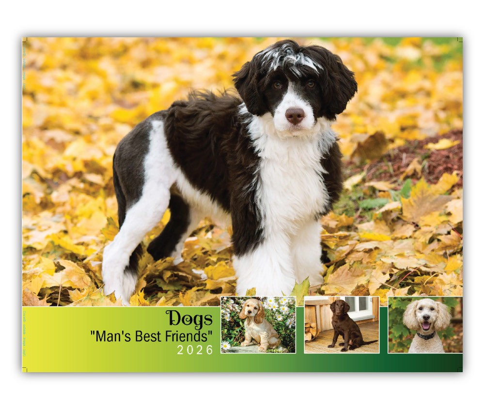 2026 Dogs wall calendar
