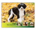 2026 Dogs wall calendar