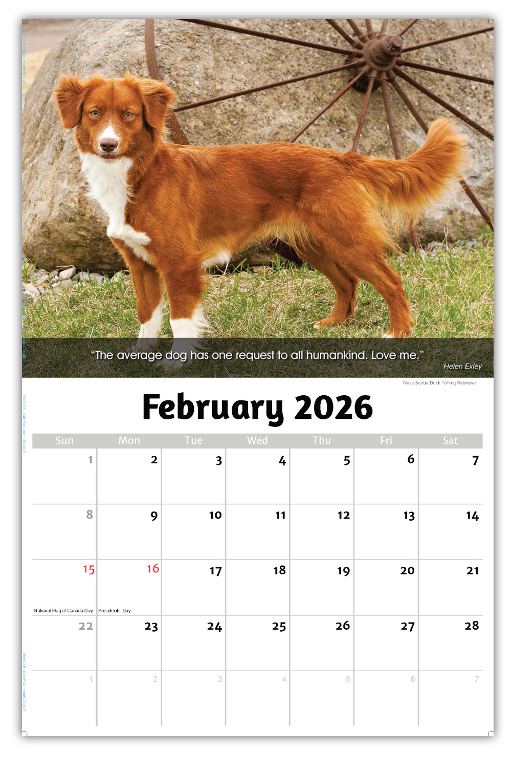 2026 Dogs wall calendar