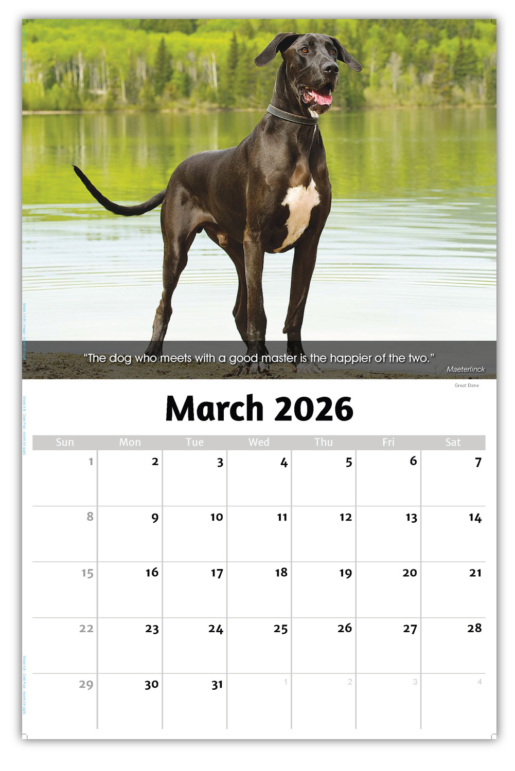 2026 Dogs wall calendar