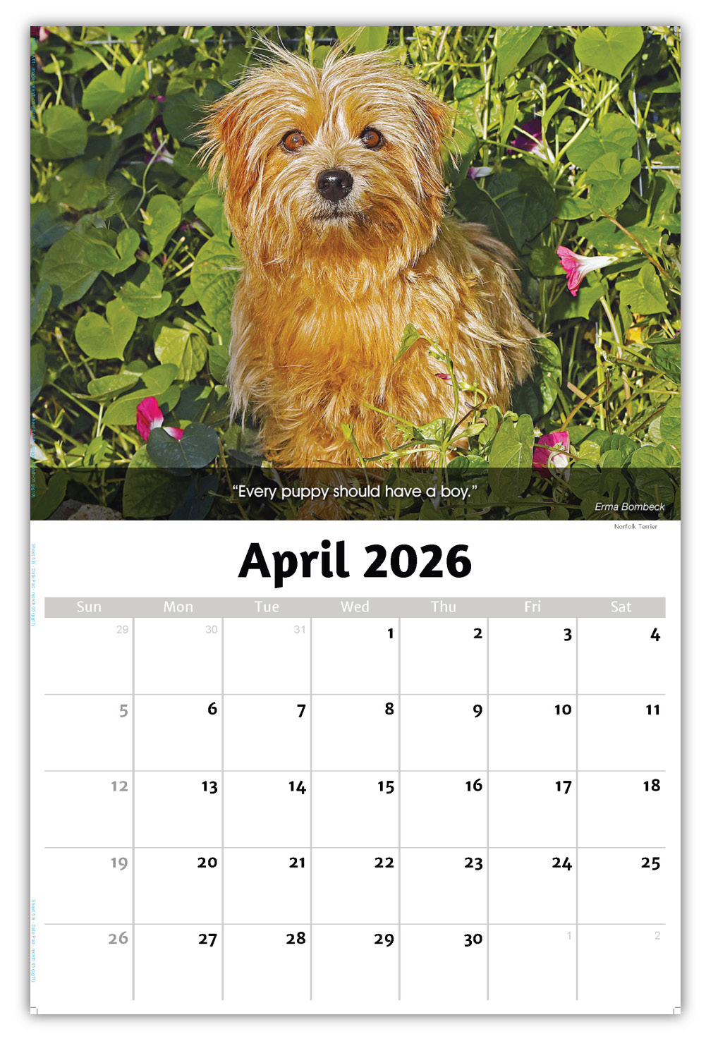 2026 Dogs wall calendar