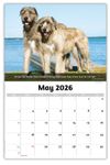 2026 Dogs wall calendar