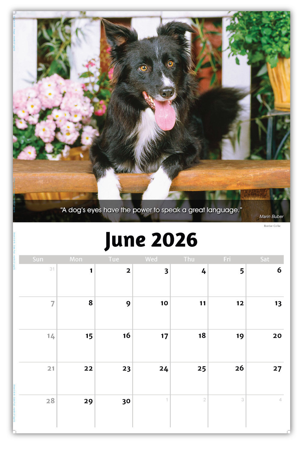 2026 Dogs wall calendar