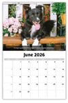 2026 Dogs wall calendar
