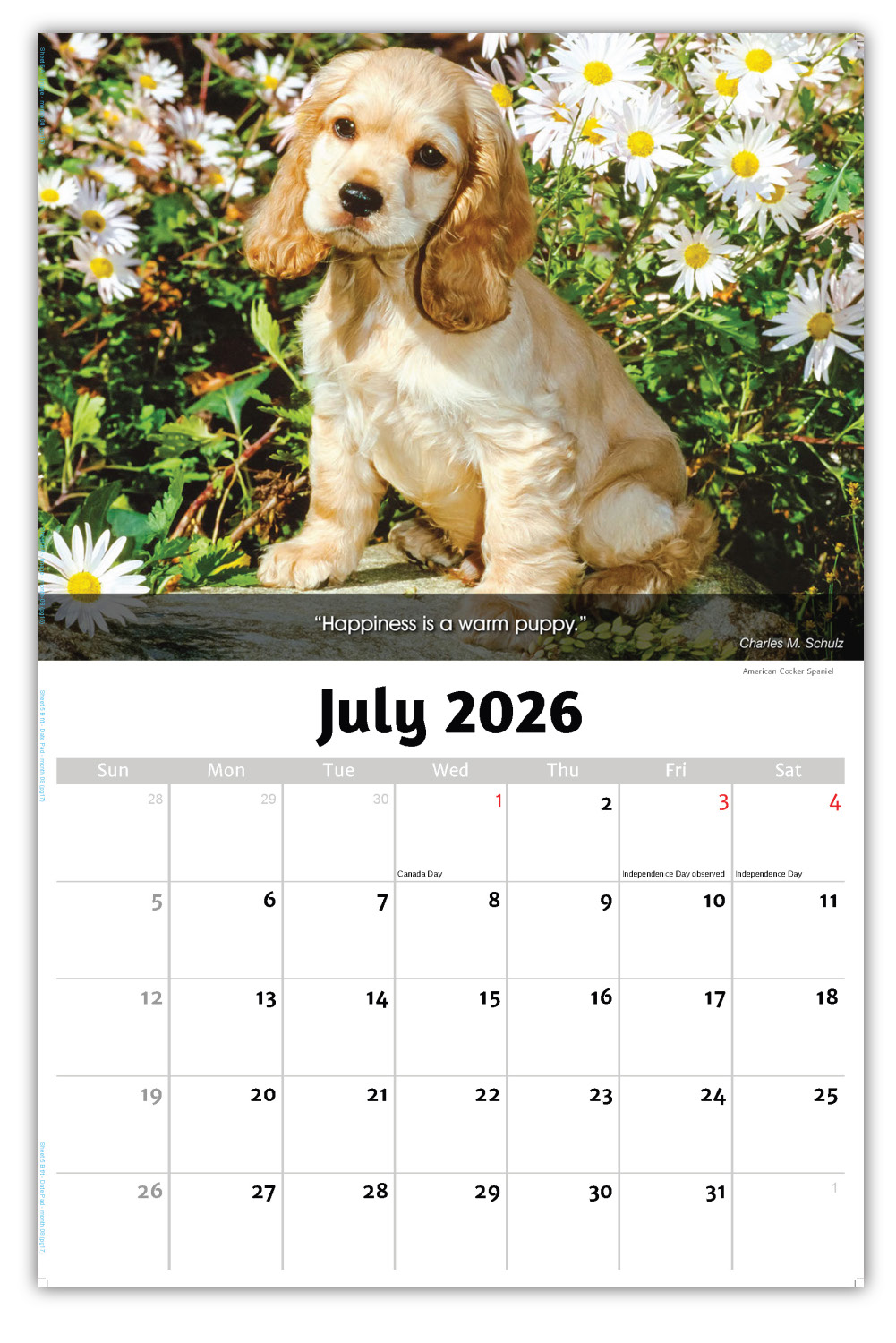2026 Dogs wall calendar