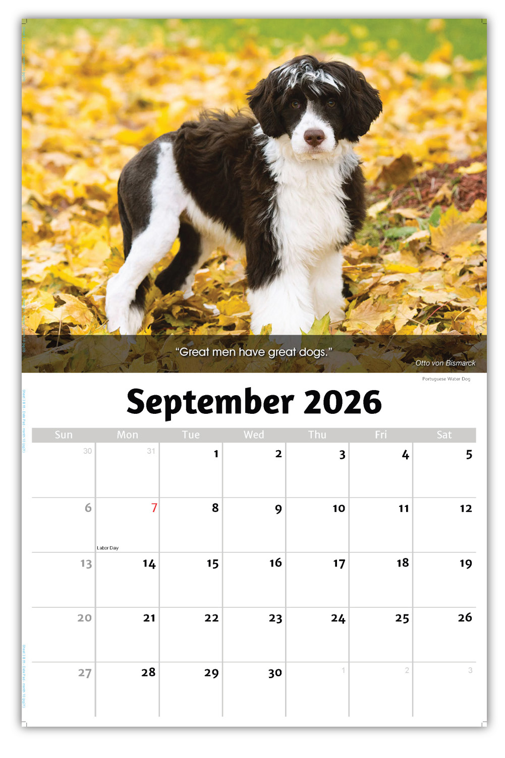 2026 Dogs wall calendar