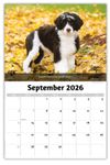 2026 Dogs wall calendar