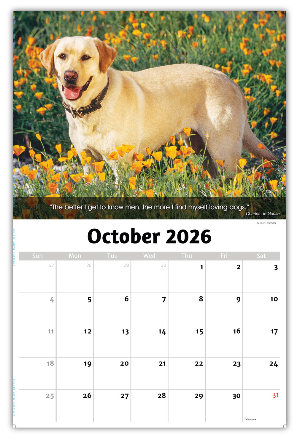 2026 Dogs wall calendar
