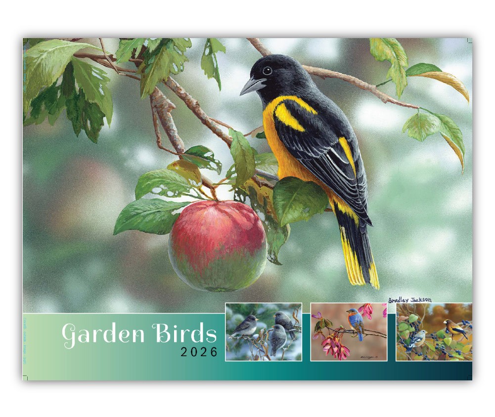 2026 Garden Birds wall calendar