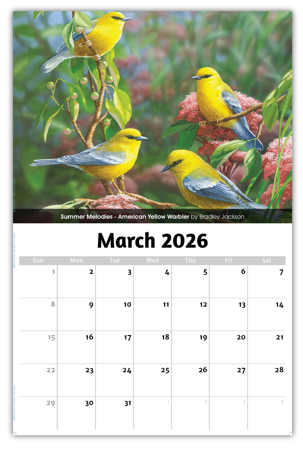 2026 Garden Birds wall calendar
