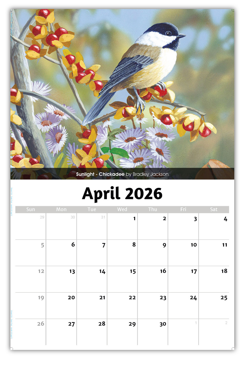 2026 Garden Birds wall calendar