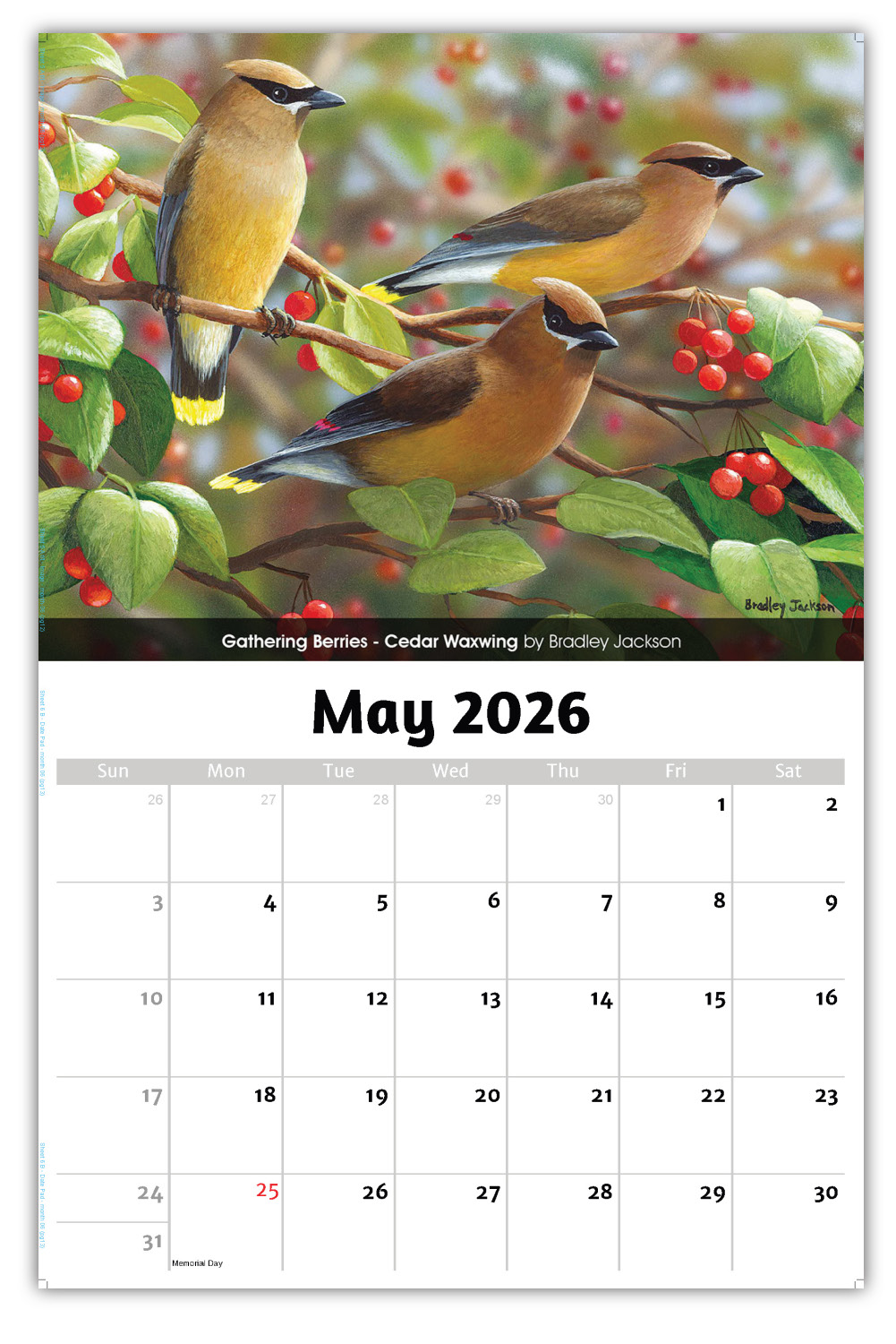 2026 Garden Birds wall calendar