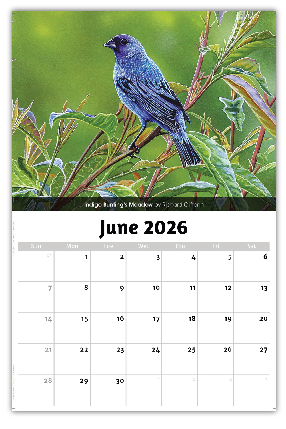 2026 Garden Birds wall calendar