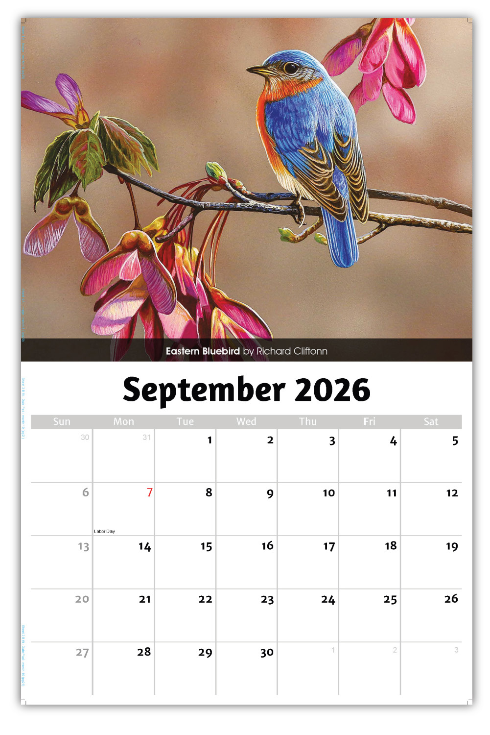 2026 Garden Birds wall calendar
