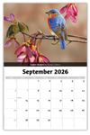 2026 Garden Birds wall calendar