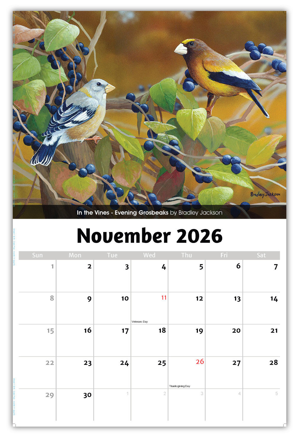 2026 Wall Calendar Garden Birds