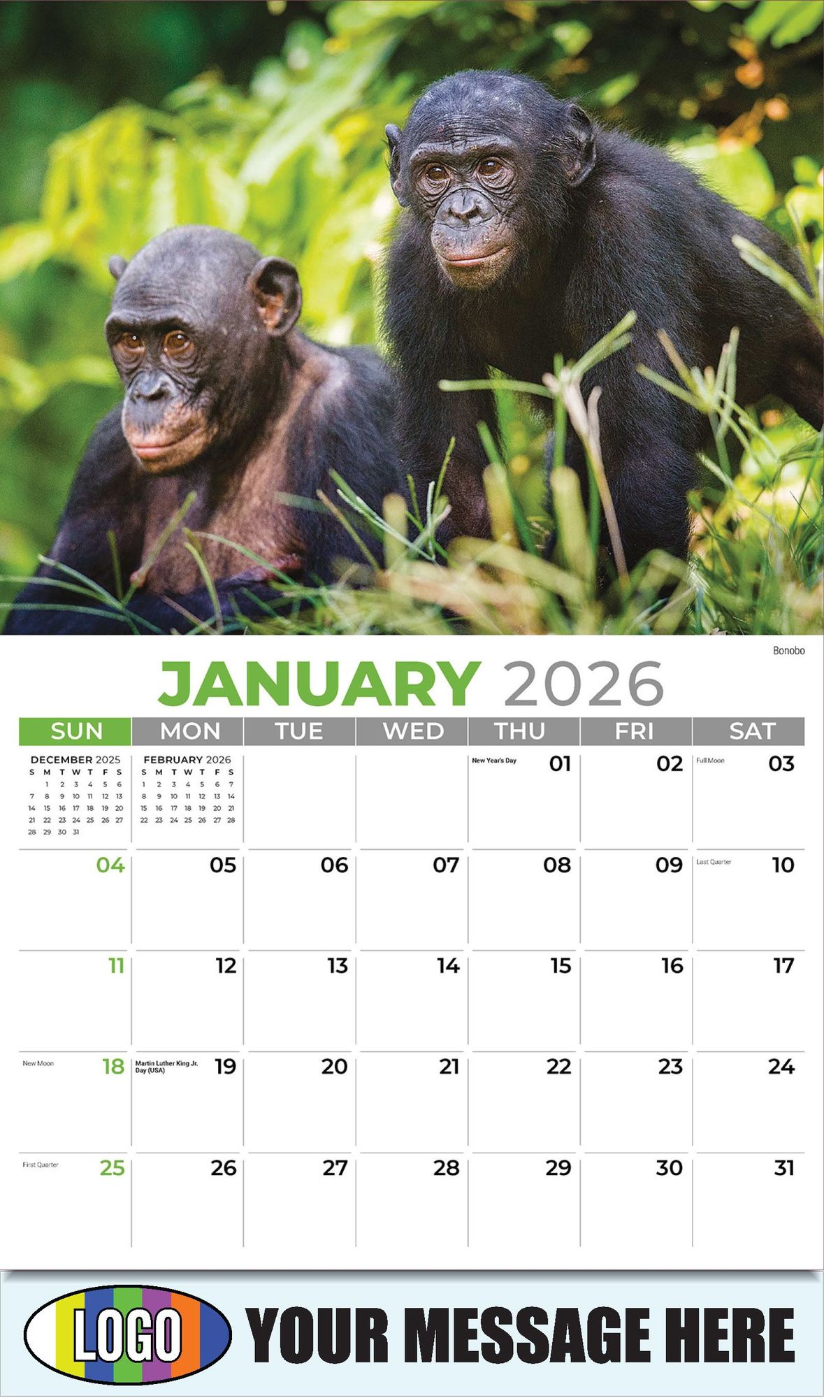 2026 International Wildlife Business Promotional Calendar