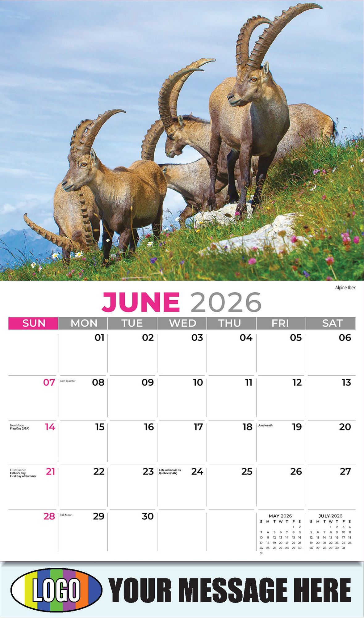 2026 International Wildlife Business Promotional Calendar