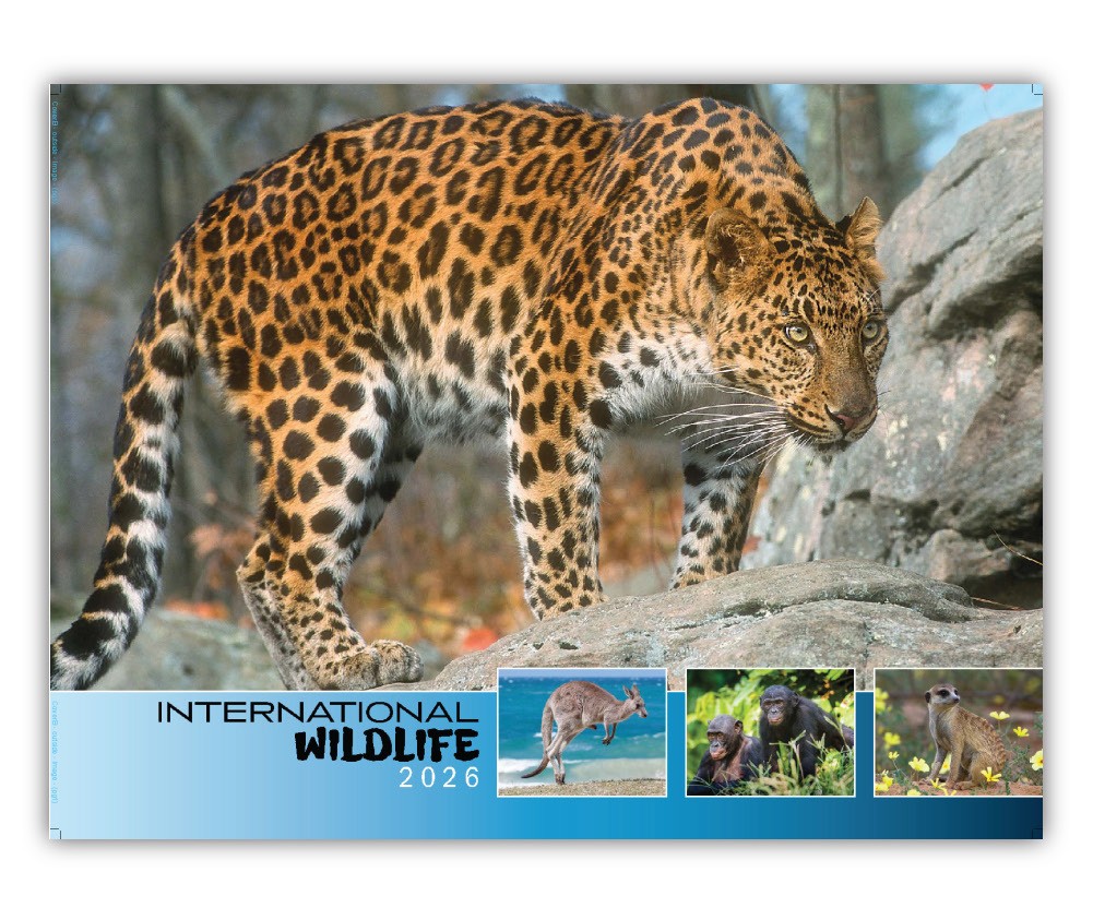 2026 International Wildlife wall calendar