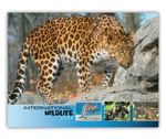 2026 International Wildlife wall calendar