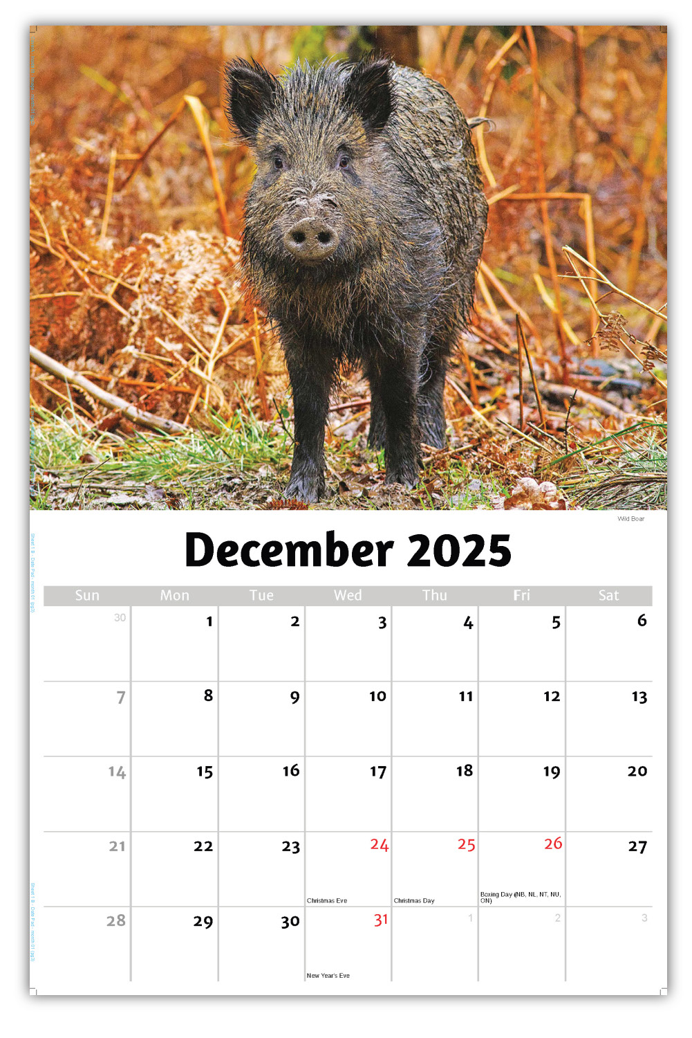 2026 International Wildlife wall calendar